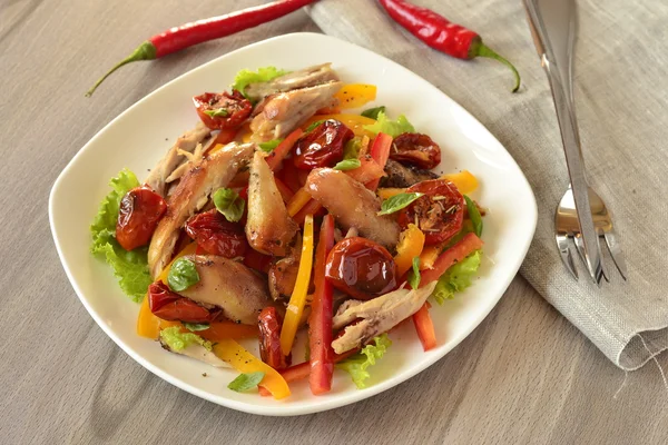 Ensalada de pollo con tomates secos y pimientos dulces — Foto de Stock