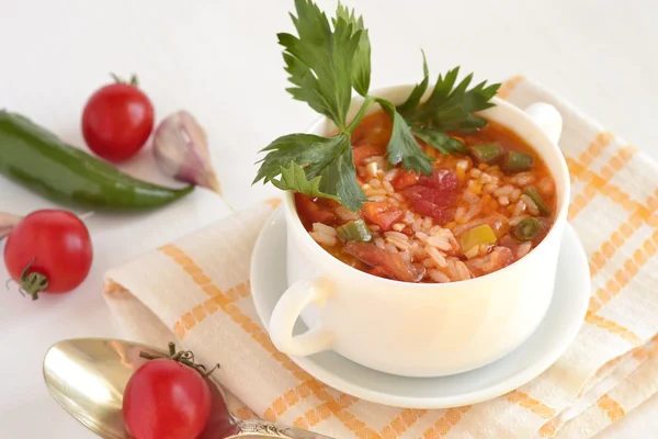 Spicy tomato soup with rice and vegetables — Stock Photo, Image