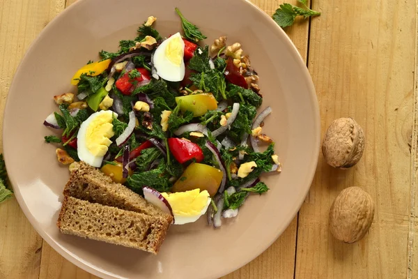 Salát s kopřivami, vejce, papriky, cibule a ořech — Stock fotografie