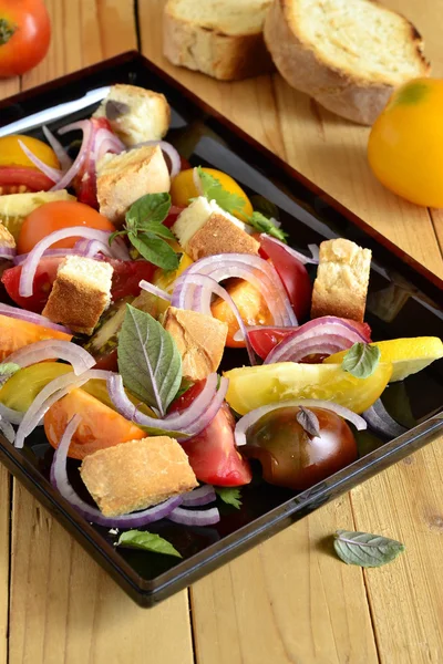 Panzanella - Italian salad — Stock Photo, Image