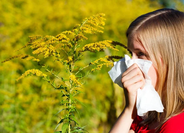 Bad Ragweed Allergy — Stock Photo, Image