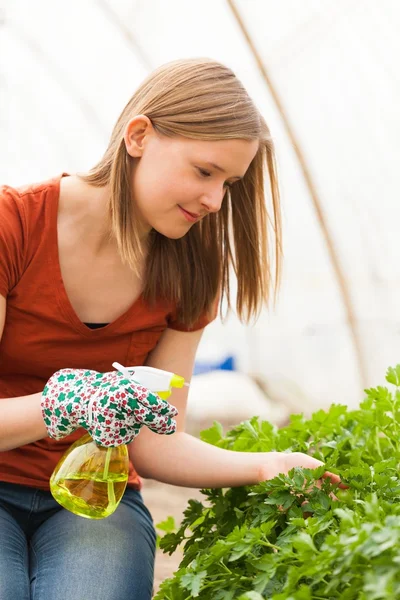 Watering The Plants — Stock Photo, Image