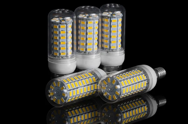 Mısır lamba siyah bir arka plan üzerinde yansıması ile açtı.