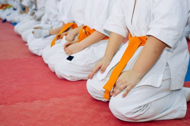 Çocuklar karate eğitimi alıyor. Metin için yeri olan pankart. Web sayfaları veya reklam baskısı için.