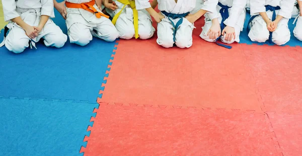 Niños entrenando en karate-do. Banner con espacio para texto. Para páginas web o impresión publicitaria. — Foto de Stock