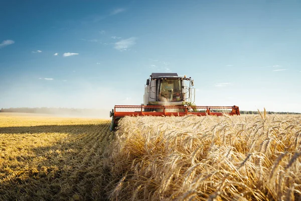 Colheitadeira colheitadeira colheitas de trigo maduro. Conceito de uma colheita rica. Imagem da agricultura — Fotografia de Stock