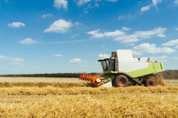 Combiner les récoltes récolteuses de blé mûr. Concept d'une récolte riche. Agriculture image — Photo