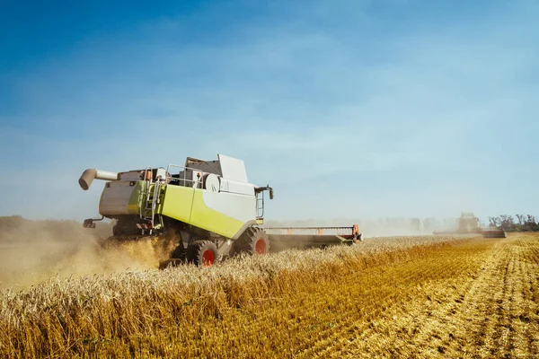 Combiner les récoltes récolteuses de blé mûr. Oreilles mûres de champ d'or sur le coucher du soleil nuageux fond de ciel orange. . Concept d'une récolte riche. Agriculture image — Photo