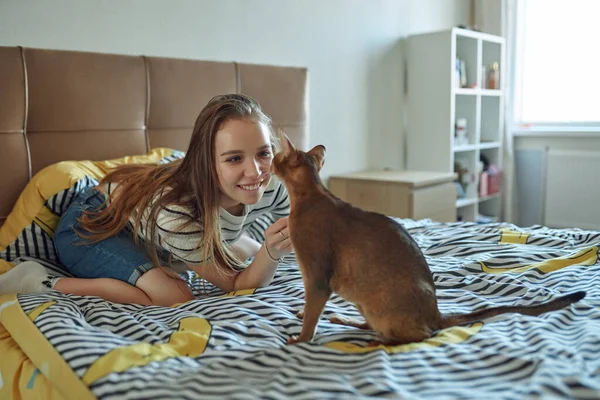 Jeune femme jouant avec un chat un jour de congé à la maison. La joie d'avoir des animaux domestiques. — Photo