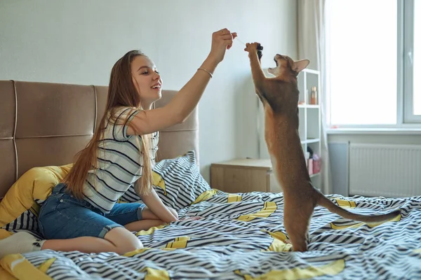 Jeune femme jouant avec un chat un jour de congé à la maison. La joie d'avoir des animaux domestiques. — Photo