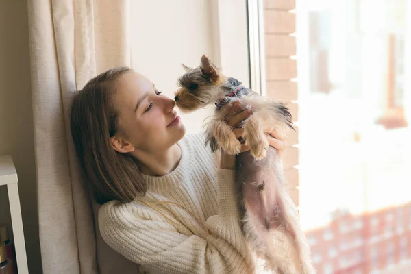 Jeune femme jouant avec le chien le week-end à la maison. Chiot terrier heureux yorkshire — Photo