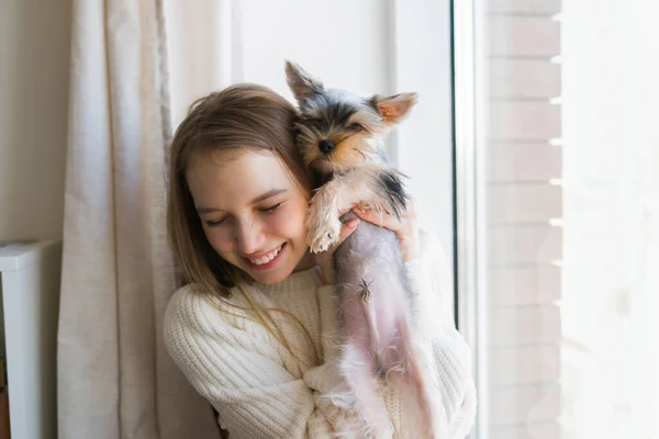 Jeune femme jouant avec le chien le week-end à la maison. Chiot terrier heureux yorkshire — Photo