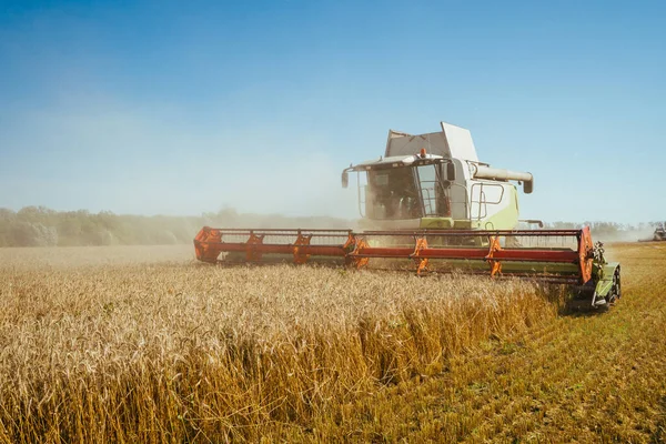 Combiner les récoltes récolteuses de blé mûr. Concept d'une récolte riche. Agriculture image — Photo