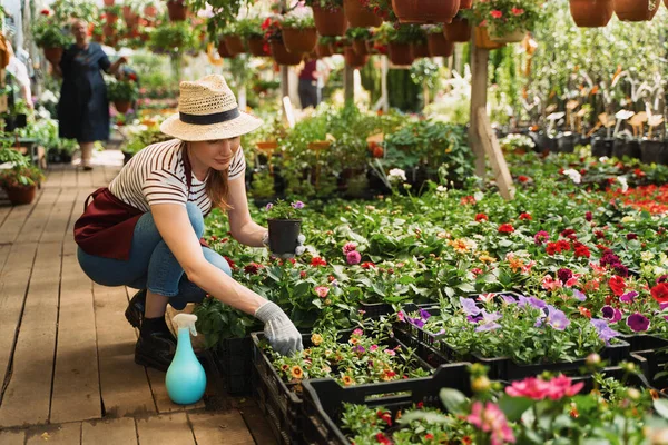 Woman gardener in hat and gloves works with flowers in the greenhouse.