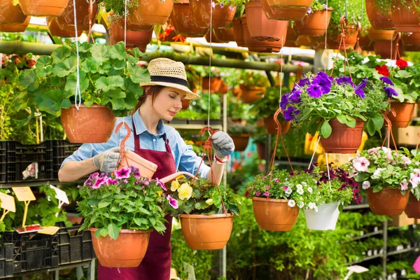 Жінка садівник в капелюсі і рукавичках працює з квітами в теплиці . — стокове фото
