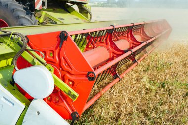 Buğday hasadını birleştirerek olgunlaşmış buğday toplar. Günbatımı bulutlu, turuncu gökyüzü arka planında olgun altın tarlalar. - Evet. Zengin hasat kavramı. Tarım imajı.