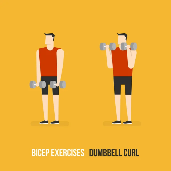 Exercices de biceps. Boucle d'haltère . — Image vectorielle