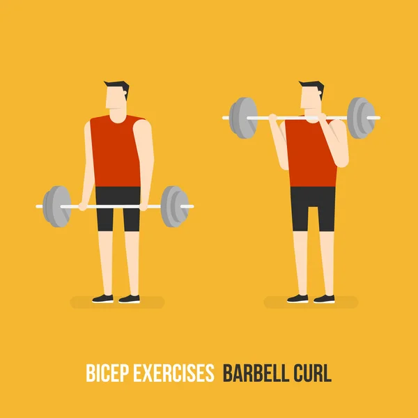 Exercices de biceps. Barbell Curl . — Image vectorielle