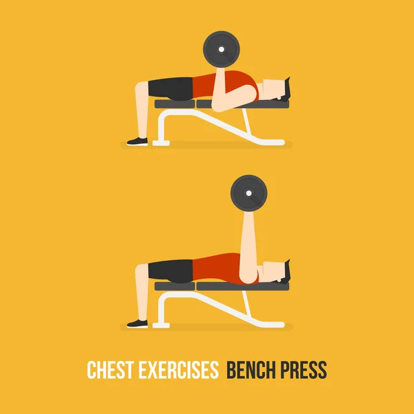 Exercices thoraciques. Presse banc . — Image vectorielle