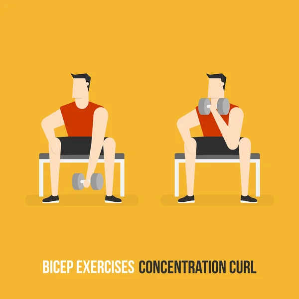 Ejercicios de bíceps. Curl de concentración . — Archivo Imágenes Vectoriales