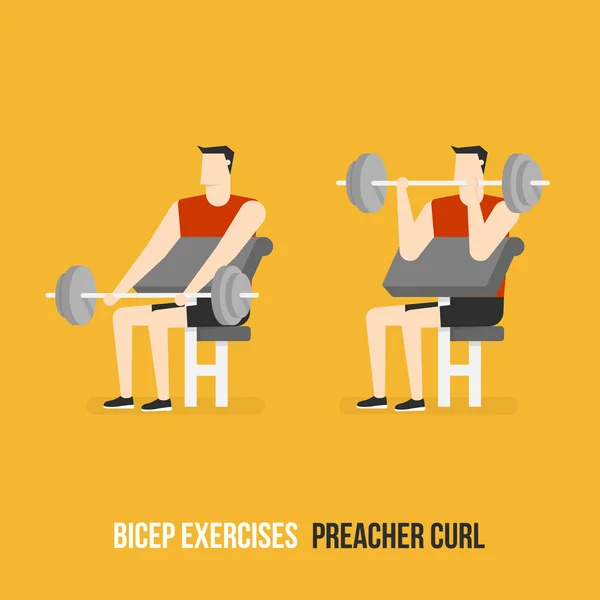 Biceps Oefeningen. Preacher Curl. — Stockvector