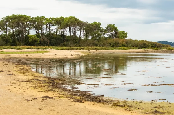 Bretanha Panorama Golfo Morbihan Vista Ile Aux Moines Pequena Ilha — Fotografia de Stock