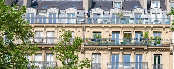 Paris, tipik Beaumarchais Bulvarı, baharda bitkilerle dolu bir balkon.