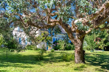 Brittany, Morbihan Körfezi 'ndeki Ile aux Moines adası. Güzel bahçeli tipik bir ev.