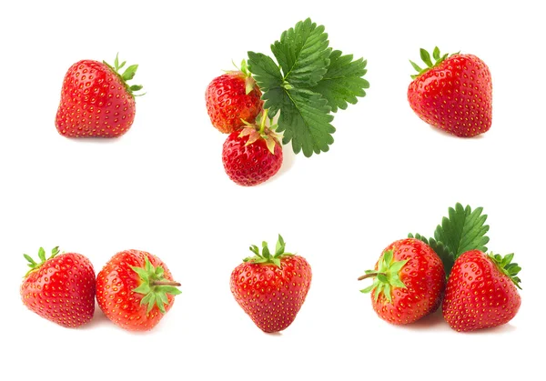Căpșuni pe fundal alb — Fotografie, imagine de stoc