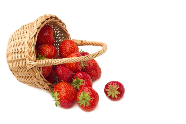 Erdbeeren im Korb auf weißem Hintergrund — Stockfoto