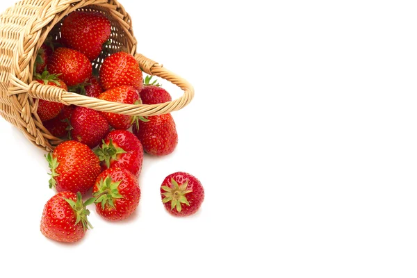 Erdbeeren im Korb auf weißem Hintergrund — Stockfoto