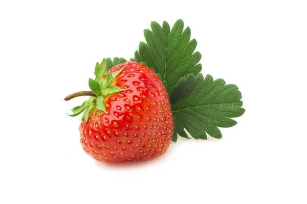 Strawberry with leaves on a white background Royalty Free Stock Photos