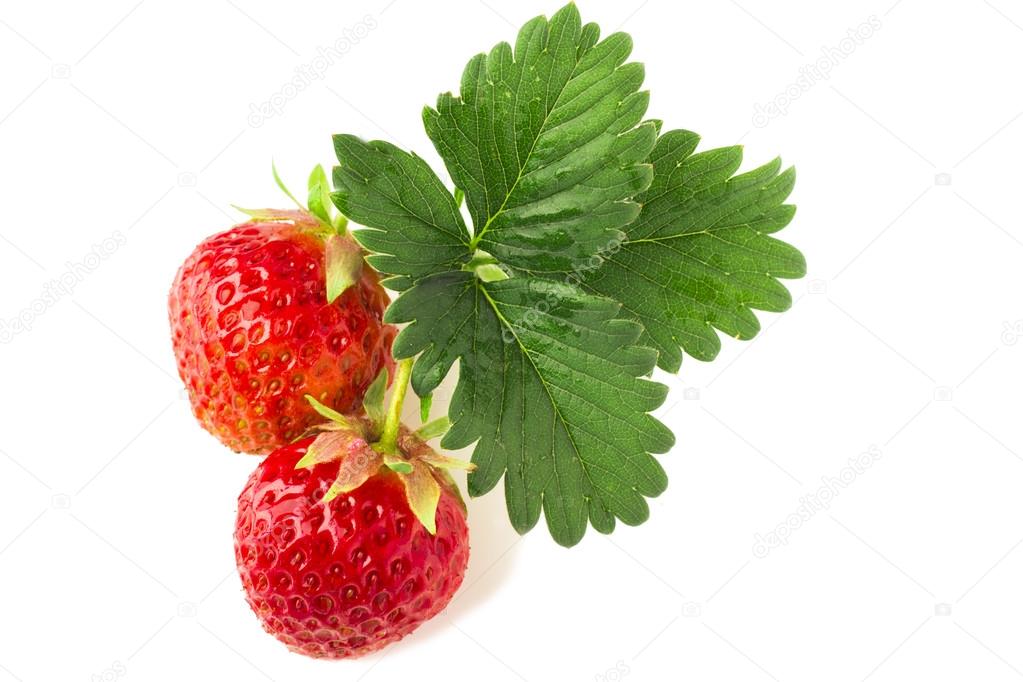 Strawberries with leaves on a white background