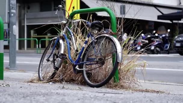 Pequena bicicleta acorrentada apoiada em barra verde fina e grama seca — Vídeo de Stock