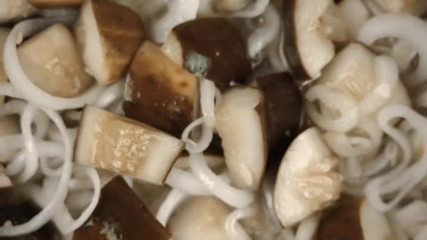 Concombres hachés et tranches d'oignon au fond clignotant — Video