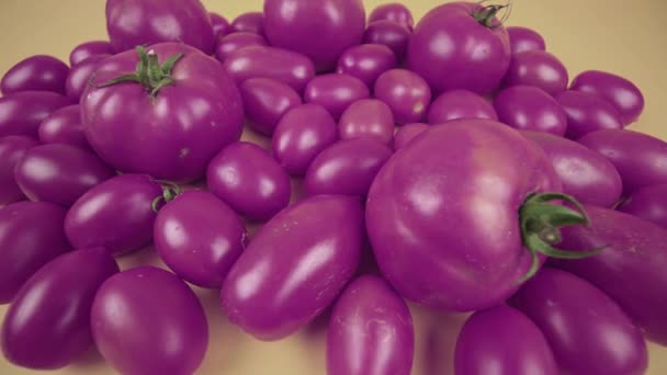 Pomidory z zielonymi pedałami leżącymi na migającym tle — Wideo stockowe