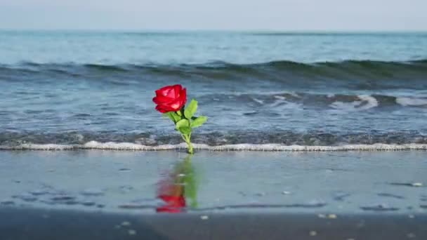 令人惊奇的人造玫瑰被蓝色的海浪冲刷在海滩上 — 图库视频影像