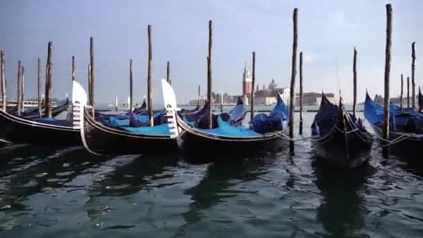 Gôndolas em aterro contra a ilha de San Giorgio Maggiore — Vídeo de Stock