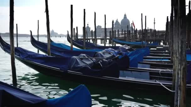 Lijn van beroemde marine gondels afgemeerd op Grand Canal bank — Stockvideo