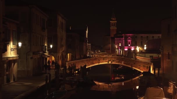 Pedestres caminham ao longo do aterro perto do canal em Veneza — Vídeo de Stock