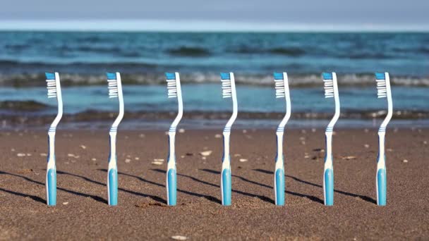 Wiersz niebiesko-białe plastikowe szczoteczki do zębów tkwi na plaży — Wideo stockowe