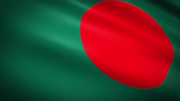 Прапор Бангладеш з червоним колом на зеленому тлі. — стокове відео