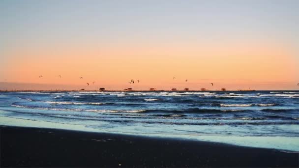 Silhouettes de kitesurfers survolant les vagues bleues de l'océan — Video