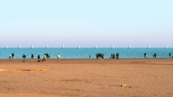 Люди с детьми проводят время на пляже против яхт — стоковое видео