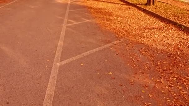 Camino de asfalto con hojas doradas caídas y líneas de estacionamiento — Vídeo de stock