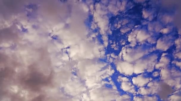 Grenzeloze heldere blauwe lucht bedekt met witte pluizige wolken — Stockvideo