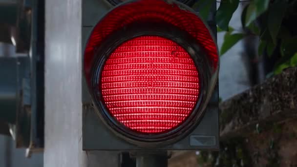 Feux de circulation avec changement de couleurs lampe installée sur la rue — Video