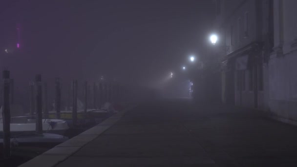 Рух вздовж туманної набережної з швартованими човнами вночі — стокове відео