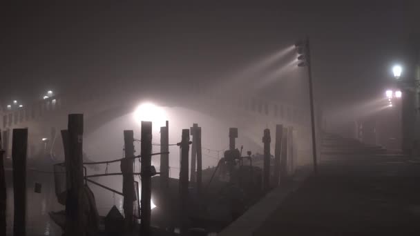 Motion along embankment past moored boats to bridge at night — Stock Video