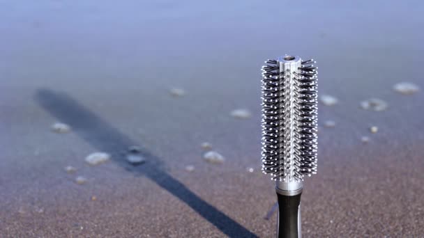Brosse à cheveux noire et grise se tient sur la plage de sable lavé par la mer — Video